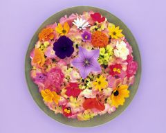 Tapeta Nature Flowers 592.jpg